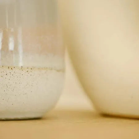 Grange Rd Flat 1 One Bedroom Flat 公寓 布里斯托