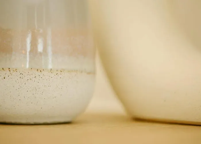 Grange Rd Flat 1 One Bedroom Flat Appartement Bristol